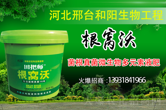 ��Щ��������������������ȡʲô��ʩ���Է�����