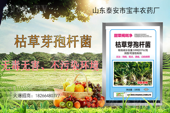 �ݲ�ѿ�ߗU���ܽ�Q������Щ���}���ݲ�ѿ�ߗU�����r(n��ng)�����ϵđ�(y��ng)����