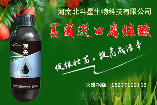 �ؗ͜l���£�����Nֲ��������������B(y��ng)�����o(h��)��