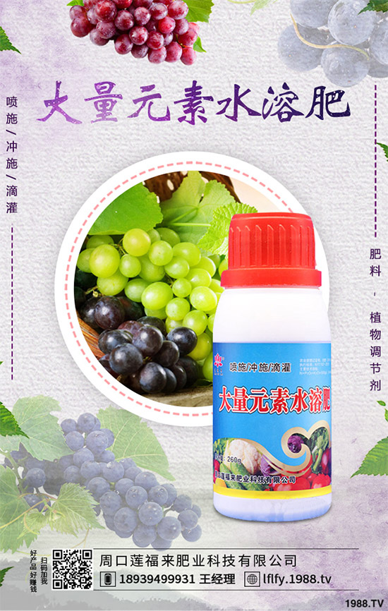 �Q��ԓ��ô�N���Q���ķNֲ���g����������Ҫ�c