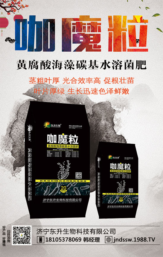 С����ʲô�g�Nֲ�r��С���۷Nֲ����Ҫ�c��