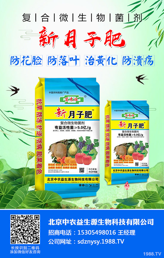     С�����~��ʲô��С�����~����������Щ��С�����~�Q���a(ch��n)��ô��