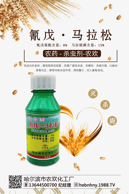 �x���߷��ڡ������xຸ�Ч���x�����Դ���գ�