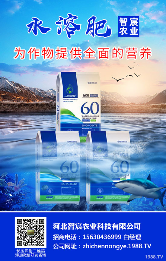 2020���؃r(ji��)��Ҫ�ϝq���������������߄�(sh��)������