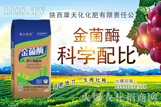 2020�����Nֲǰ����ô���������N�Ӷ����X(qi��n)һ�