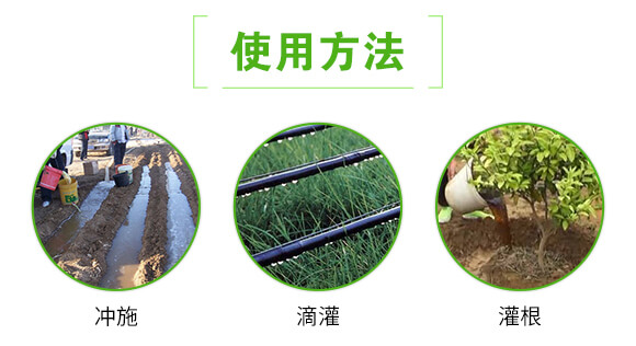 �ݲ�ѿ�ߗU��-�����K�Y-(li��n)��μ�_05