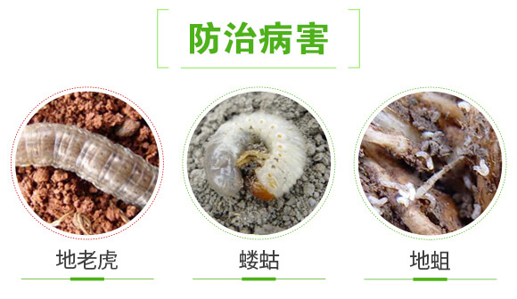 �ݲ�ѿ�ߗU��-�����K�Y-(li��n)��μ�_04