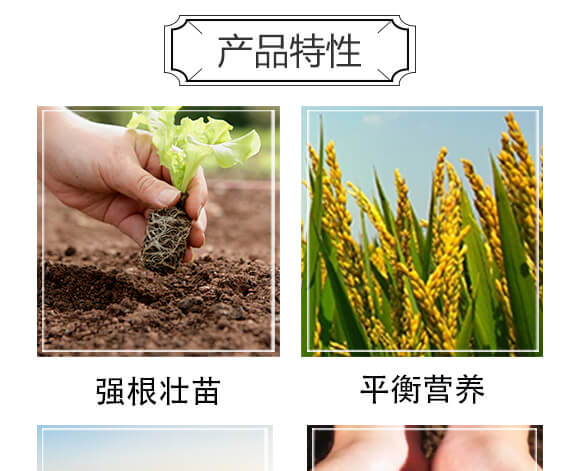 ΢�������-�r��һ_06