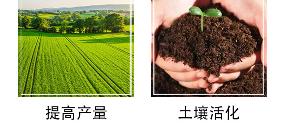 ΢�������-�r��һ_07