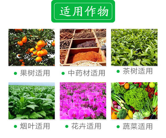 ��(w��n)���Է���25-10-10-�и���ʢ_02