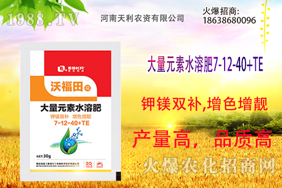 ��피t��ô�B(y��ng)����피t���B(y��ng)ֳ������ע�����(xi��ng)��