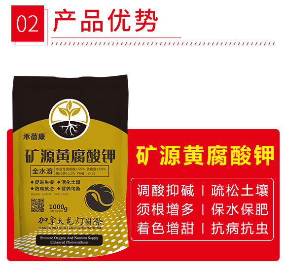 �VԴ�S�����-������-����5