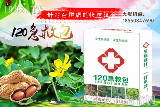 �ȹ����緽������Щ���ȹ���ô���Զ�ֲ��