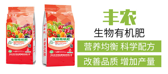 �����ЙC(j��)�ʣ��t��-�S�r(n��ng)_03