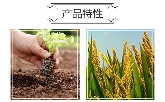 ���帯ֳ���͏ͺϷ���18-18-18+TE-��̫��_04