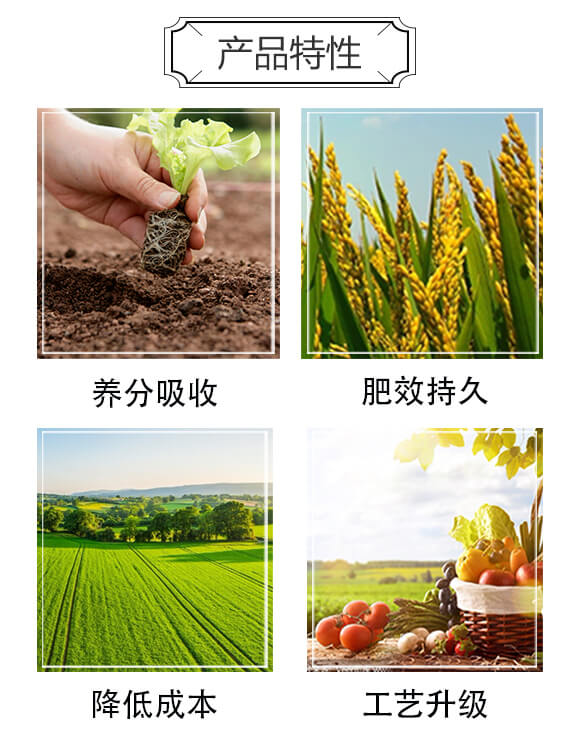 ��ȩ��ʧ��(f��)�����20-12-16-����_03