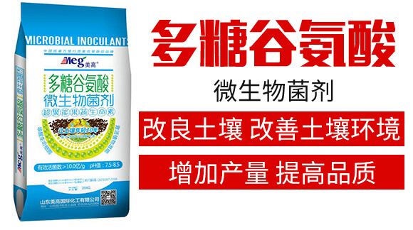 ���ǹȰ���΢�������-����_(d��)02