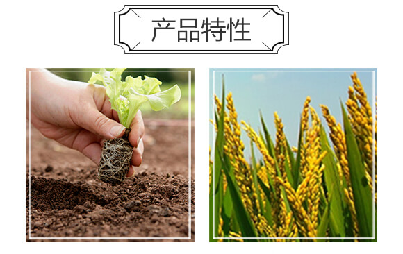 �����ЙC�ʣ��G��-�S�r(n��ng)_04