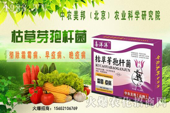 �ݲ�ѿ�ߗU���θ���������������Щ�������������Ό�(du��)������Щ��