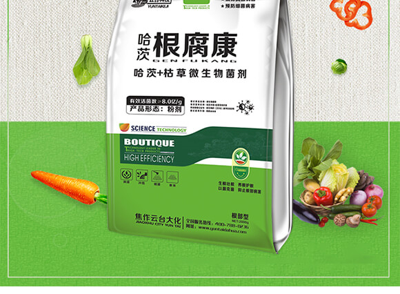 ���ĸ�����-���_��_02