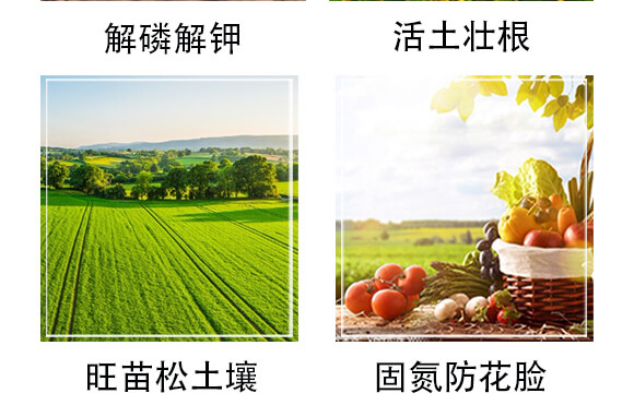 ΢�������-ِ����_05