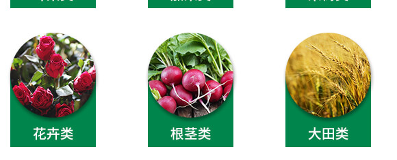 �VԴ�S�����-��ʩؐ��-��ʩ��_08