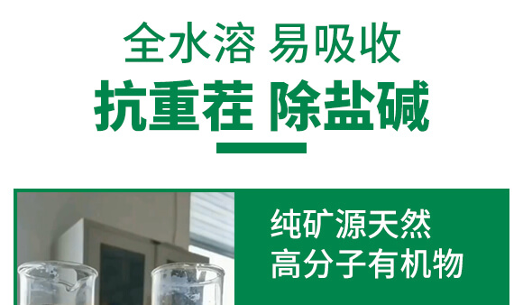 �VԴ�S�����-��ʩؐ��-��ʩ��_10