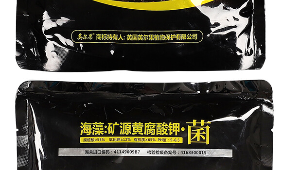 ����VԴ�S����⛡���-�~����-Ӣ����_13