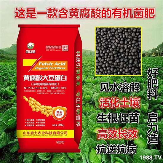 ��s�S�����ЙC��-�S����󶹵���-�����r(n��ng)�I(y��)