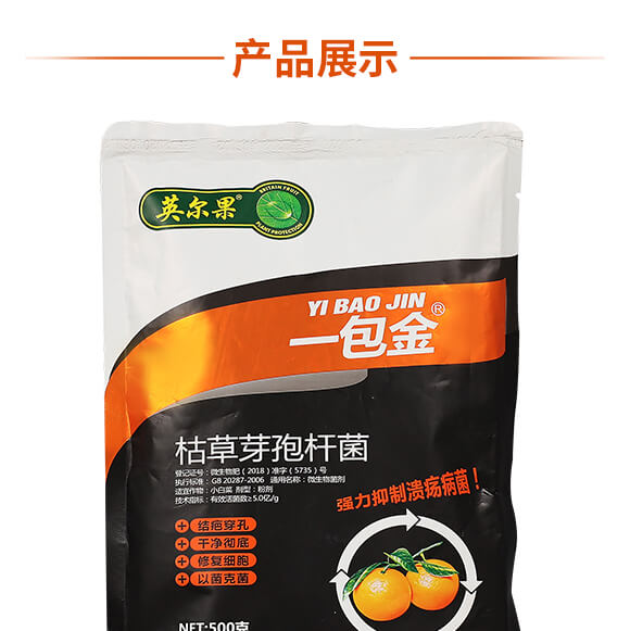 �ݲ�ѿ�ߗU��-һ����-Ӣ����_12