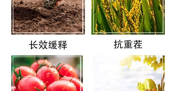 �����r(n��ng)��ጷ���26-10-10-�и���ʢ_05