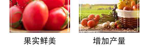 ���S���ЙC(j��)�o(w��)�C(j��)���B(t��i)�ʣ����ߌ��ã�-�и���ʢ_06