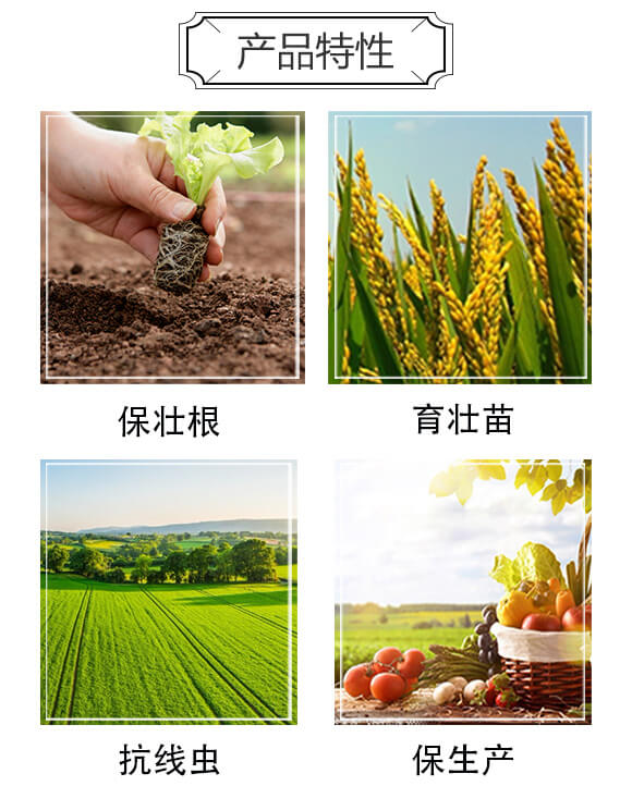 ������|(zh��)-�֠���(y��u)_03