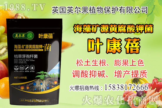 ��ô�Д����׺�ˮ��������������ˮ���й��ж���(j��ng)���