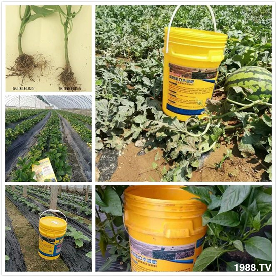 ˮ�ܷ��Ј�(ch��ng)��׃��������徫���~���׌�����������1000���Ñ��������]��