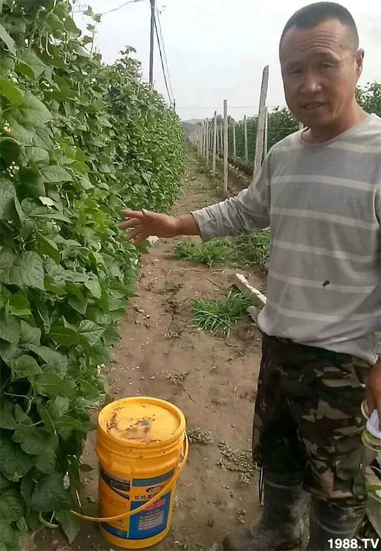 ˮ�ܷ��Ј�(ch��ng)��׃��������徫���~���׌�����������1000���Ñ��������]��