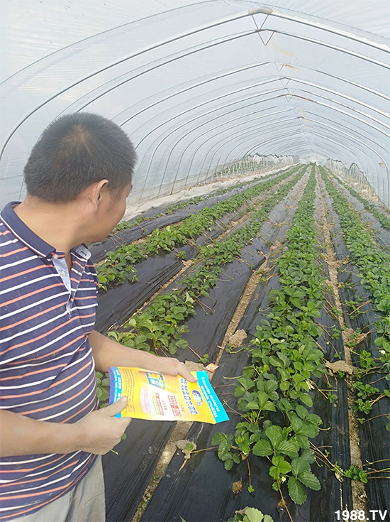 ˮ�ܷ��Ј�(ch��ng)��׃��������徫���~���׌��������棡1000���Ñ��������]��