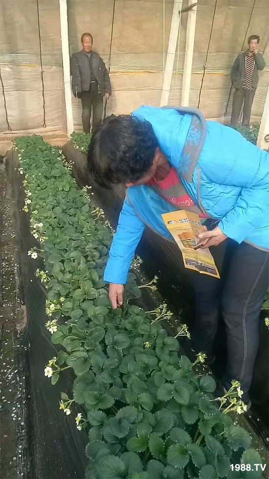 ˮ�ܷ��Ј�(ch��ng)��׃��������徫���~���׌�����������1000���Ñ��������]��