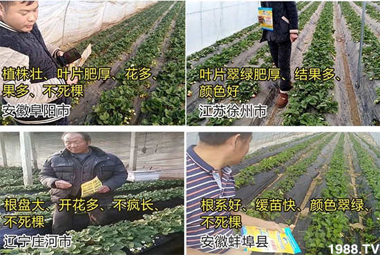 ˮ�ܷ��Ј�(ch��ng)��׃��������徫���~���׌��������棡1000���Ñ��������]��