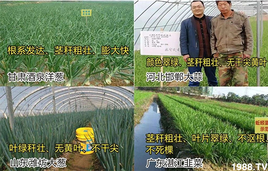 ˮ�ܷ��Ј�(ch��ng)��׃��������徫���~���׌�����������1000���Ñ��������]��