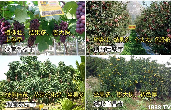 ˮ�ܷ��Ј�(ch��ng)��׃��������徫���~���׌�����������1000���Ñ��������]��