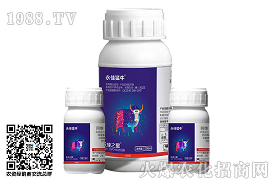 �x(ch��ng)����