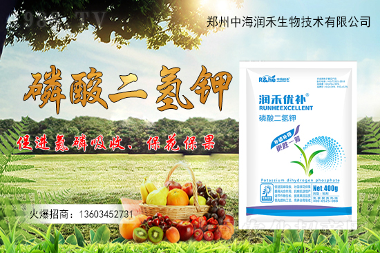 ����һ���굽��ԓ��ôʩ��������ʩ��ע���������Щ��