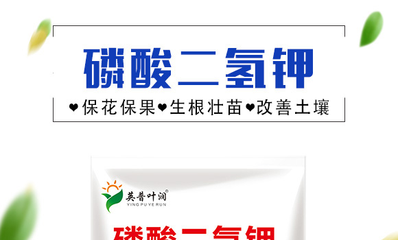 ��������-Ӣ���~��_01