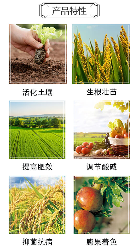 ��s�S�����ЙC��-�S����󶹵���-�����r(n��ng)�I(y��)_03