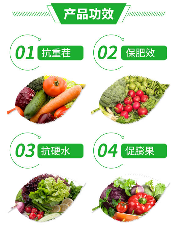 �VԴ�S�����-ī��-��ڌ�-�{(l��n)���r(n��ng)��_03