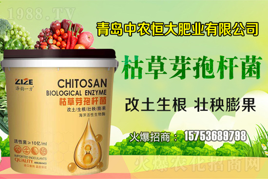 �ݲ�ѿ�ߗU������ǡ����С������ݲ�ѿ�ߗU�����w�������˽�᣿