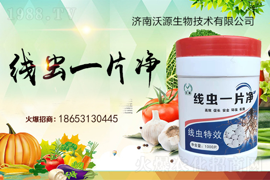 ���Y(ji��)���x�y���������ξ��x�����xһƬ����