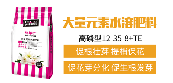 �o(h��)�����H3_02