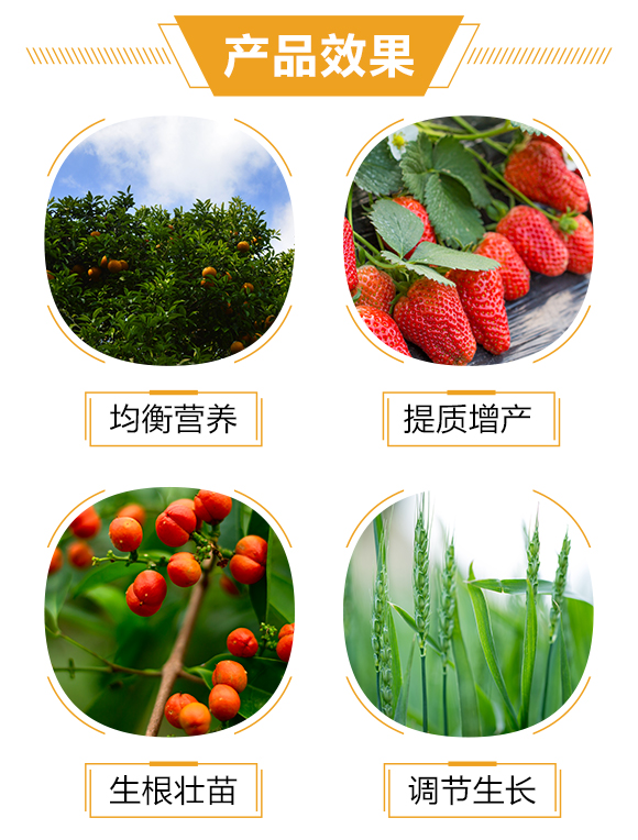 �o(h��)�����H1_03